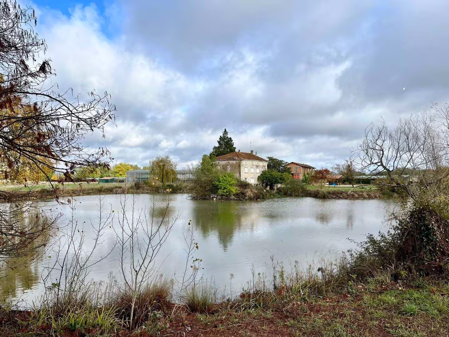 Les allées arborées du domaine